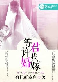 等君许我婚嫁