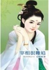宰相很难追