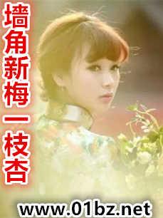 墙角新梅一枝杏