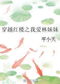 (红楼同人)穿越红楼之我爱林妹妹