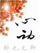 心动 完结+番外
