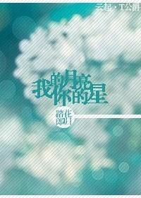 我的月亮你的星