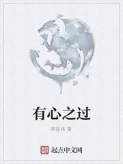 有心之过
