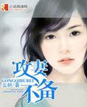 攻妻不备