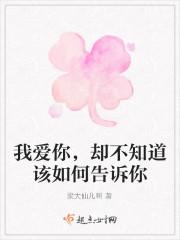 我该如何爱你