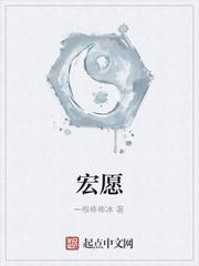 宏愿