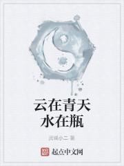 云在青天水在瓶
