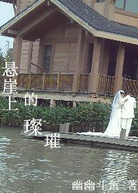 悬崖上的璀璨