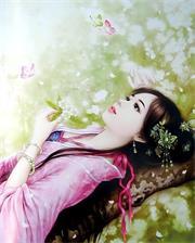 花飞花舞