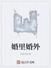 婚里婚外