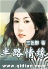 半路情缘