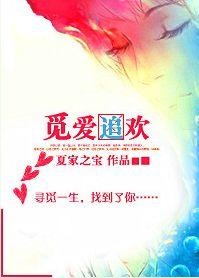 觅爱追欢