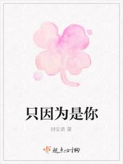 只因为是你