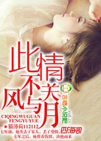 此情不关风与月