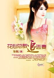 花心总裁追逃妻