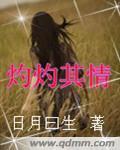 灼灼其情