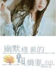 幽默总裁的宝贝娇妻