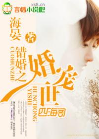 错婚之婚宠一世