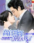 高官哥哥别玩我了