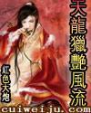天龙猎艳风流