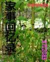 遍地桃花
