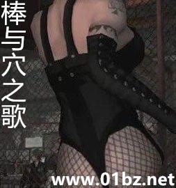 棒与穴之歌