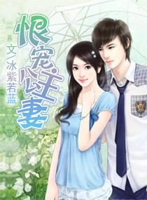 恨宠公主妻