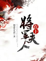 将军在上