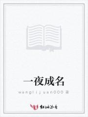 一夜成名