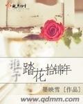 谁予踏花拾锦年