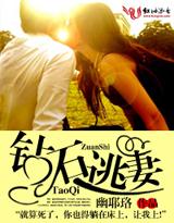 钻石逃妻