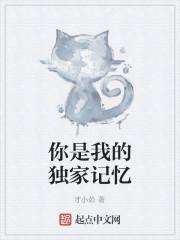 你是我的独家记忆
